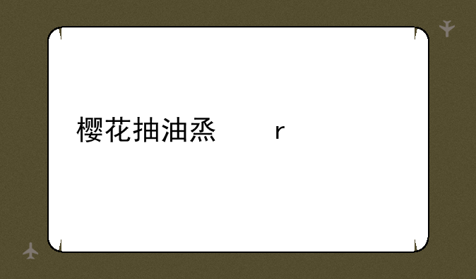 樱花抽油烟机价格