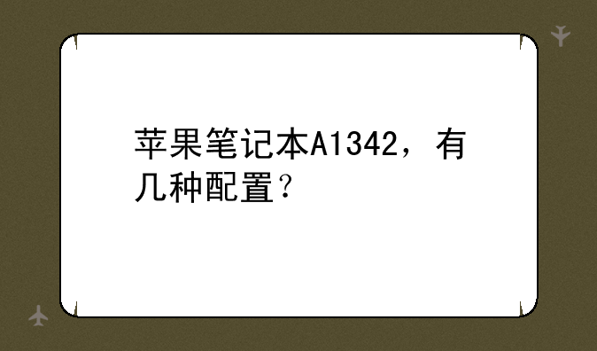 苹果笔记本A1342，有几种配置？