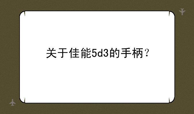 关于佳能5d3的手柄？