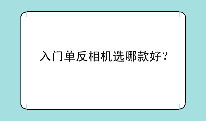 入门单反相机选哪款好？