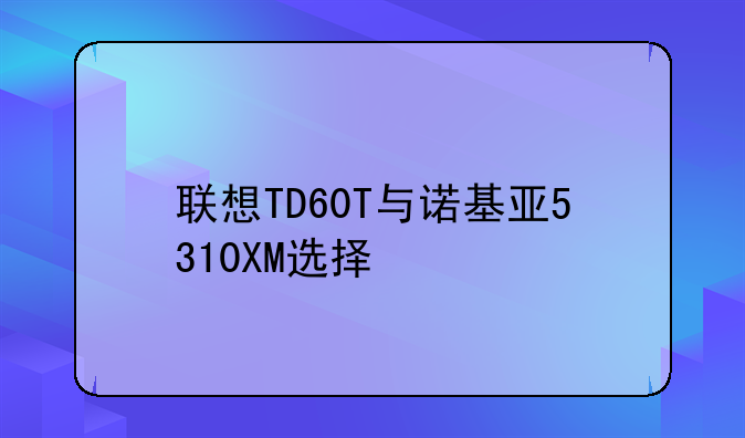 联想TD60T与诺基亚5310XM选择