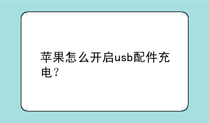 苹果怎么开启usb配件充电？