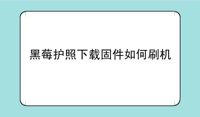 黑莓护照下载固件如何刷机