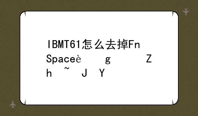 IBMT61怎么去掉Fn+Space这个快捷键啊