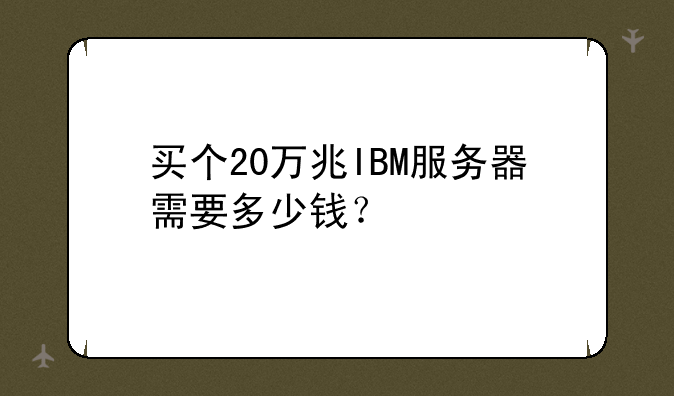 买个20万兆IBM服务器需要多少钱？