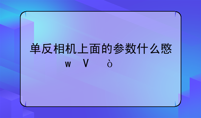单反相机上面的参数什么意思啊？