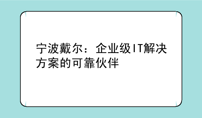 宁波戴尔：企业级IT解决方案的可靠伙伴