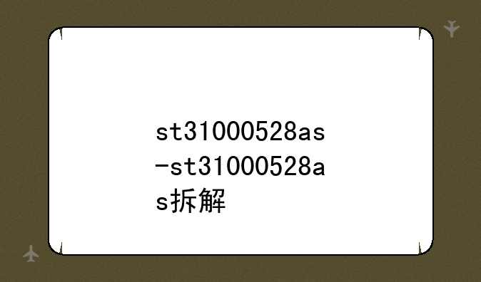 st31000528as-st31000528as拆解