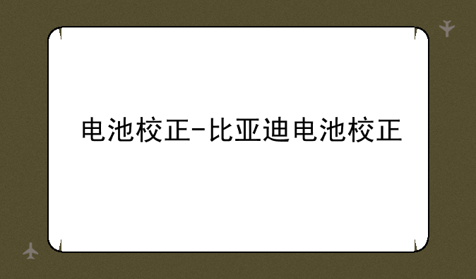 电池校正-比亚迪电池校正