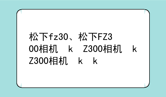 松下fz30、松下FZ300相机参数