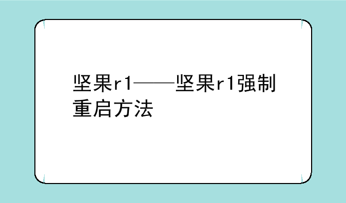 坚果r1——坚果r1强制重启方法