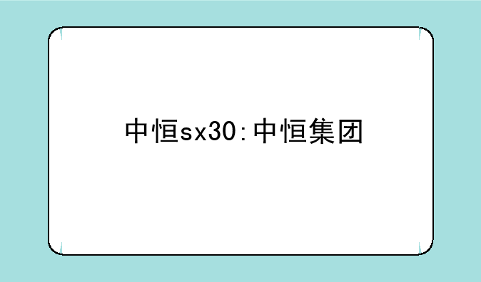 中恒sx30:中恒集团