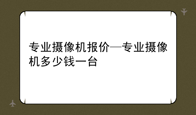 专业摄像机报价—专业摄像机多少钱一台