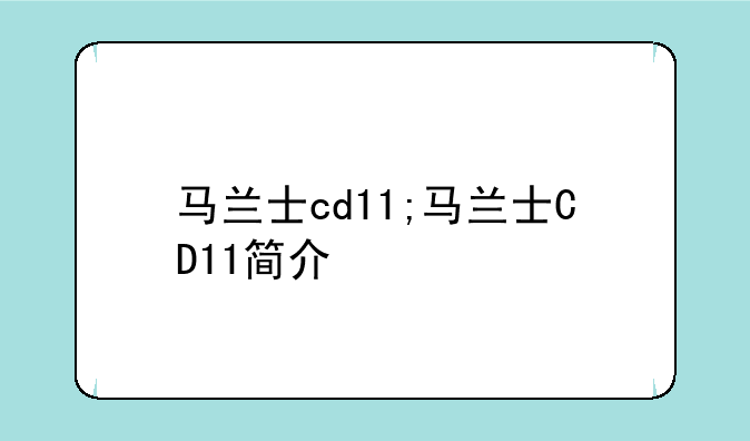 马兰士cd11;马兰士CD11简介