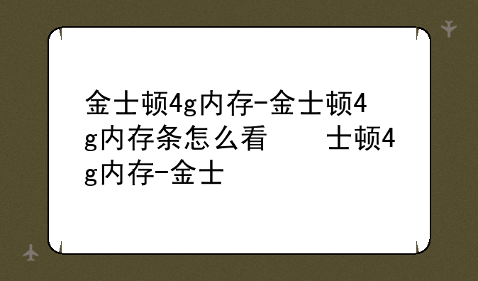 金士顿4g内存-金士顿4g内存条怎么看参数