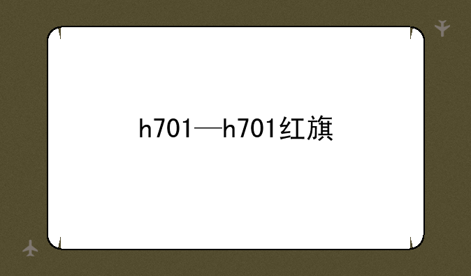 h701—h701红旗